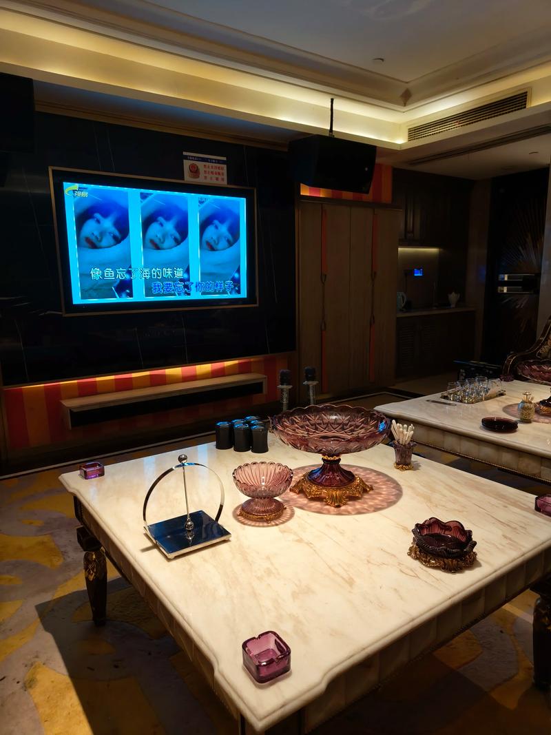 大连商务ktv热门商务ktv玩法推荐-甘井子区ktv预定